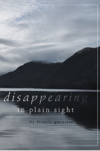 Disappearing_in_Plain_Sight